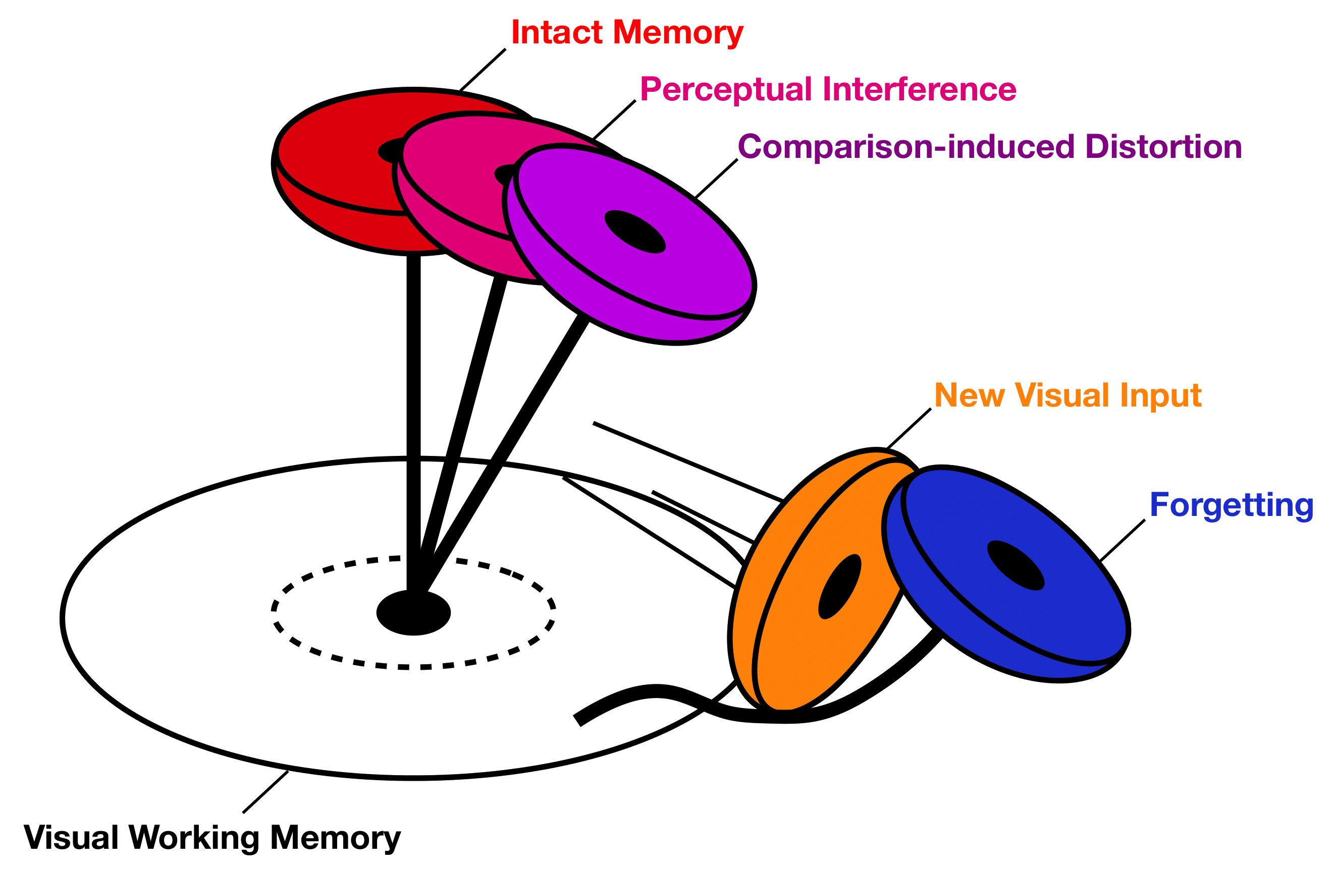 Visual working memory schematic