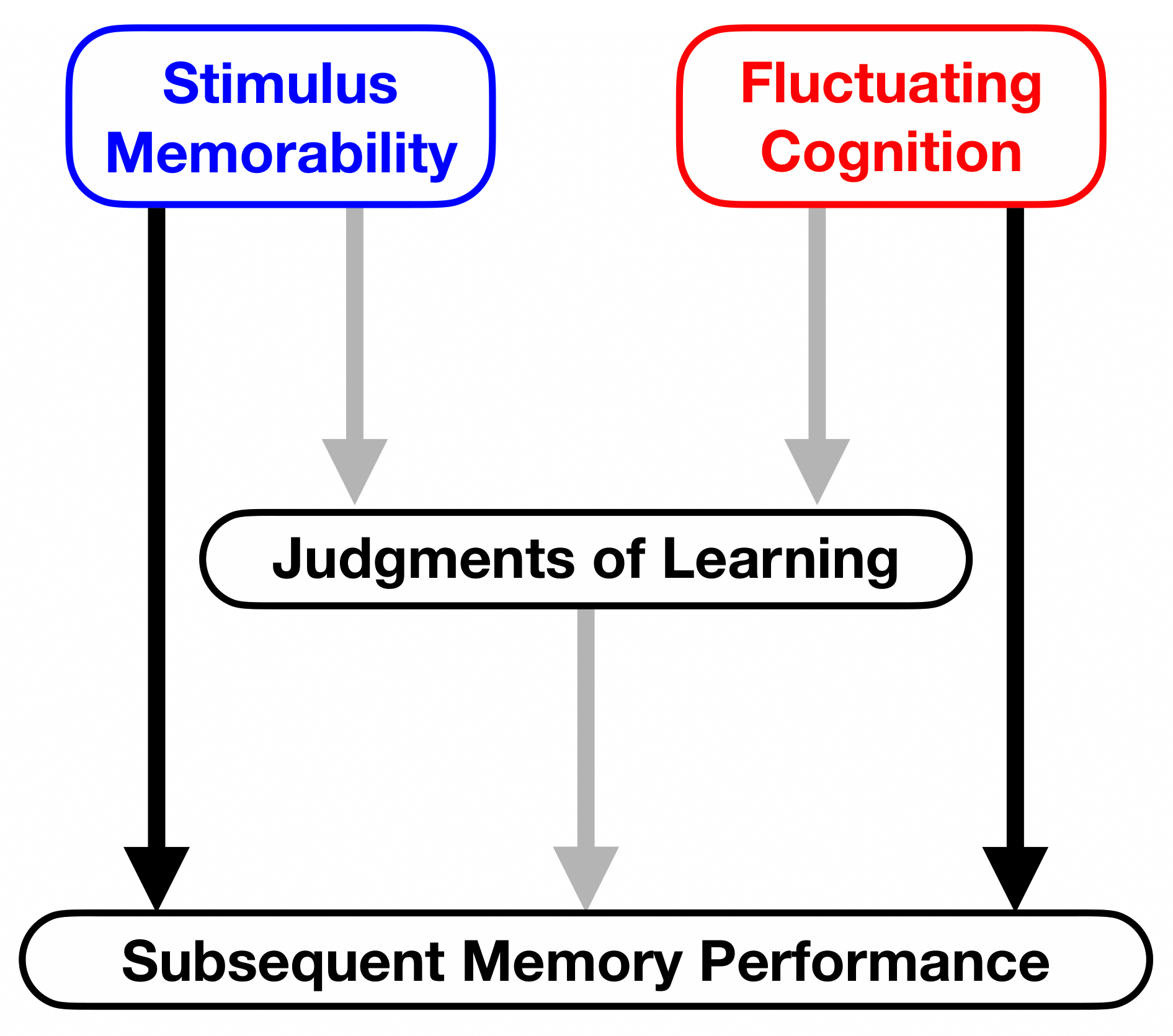 Judgements of learning schematic